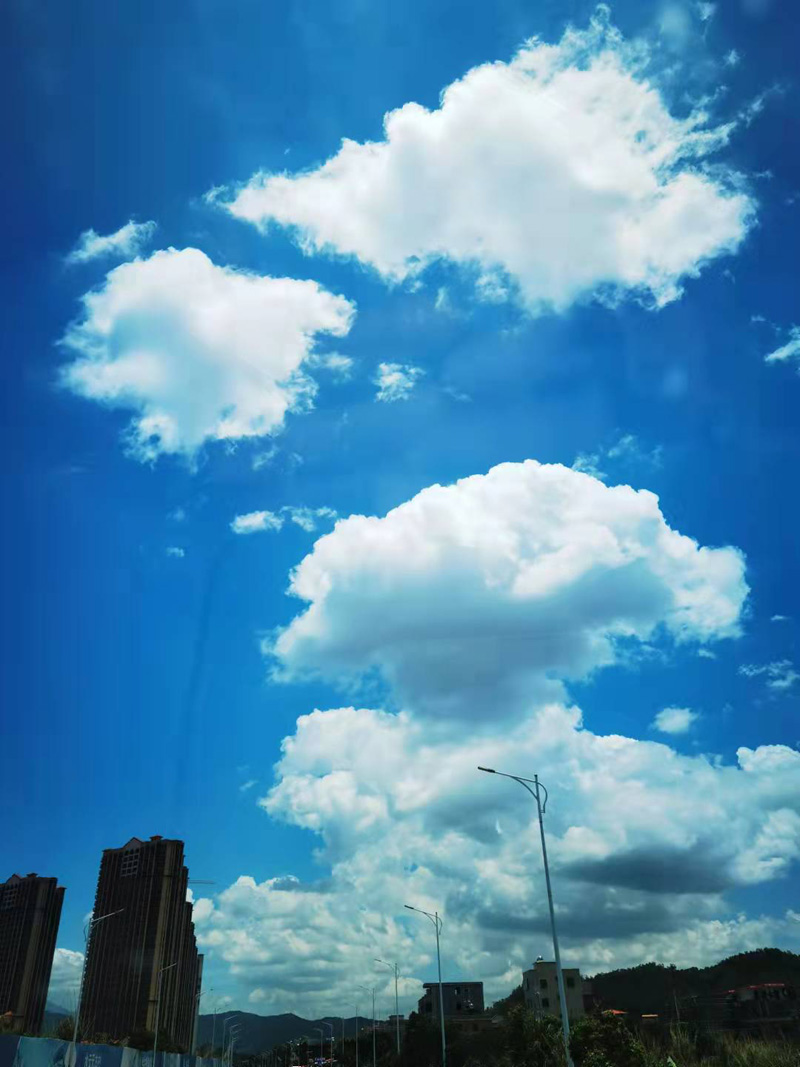 2021年9月雅弘家人們集體鹽洲島黑排角沙灘游